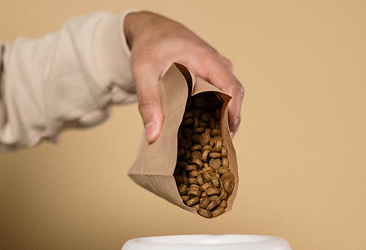 Köpeğinizin Enerjisine Uygun Mama Seçenekleri