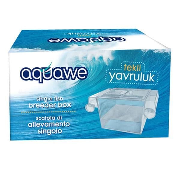 Aquawe Tekli Yavruluk