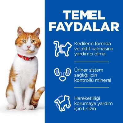 Hill's SCIENCE PLAN Kısırlaştırılmış Alabalıklı Kedi Pouch 85 gr
