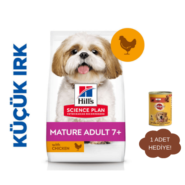Hills Small Mini Mature Tavuklu Yaşlı Köpek Maması 1,5Kg