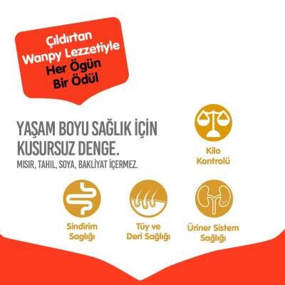 Wanpy Tahılsız Somon Balıklı Yetişkin Kedi Kuru Maması 1,5 kg