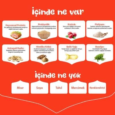 Wanpy Tahılsız Ton Balıklı Yetişkin Kedi Kuru Maması 1,5 kg