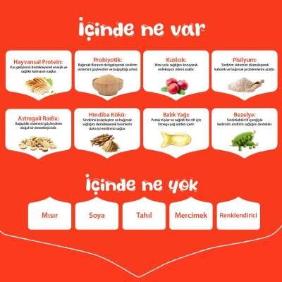 Wanpy Tahılsız Tavuklu Yetişkin Kedi Kuru Maması 1,5 Kg