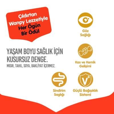Wanpy Tahılsız Tavuklu Yavru Kedi Kuru Maması 1,5 Kg