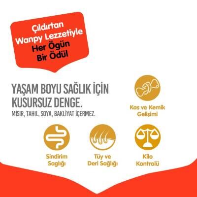Wanpy Tahılsız Sığır Yetişkin Köpek Kuru Maması 1,5 kg