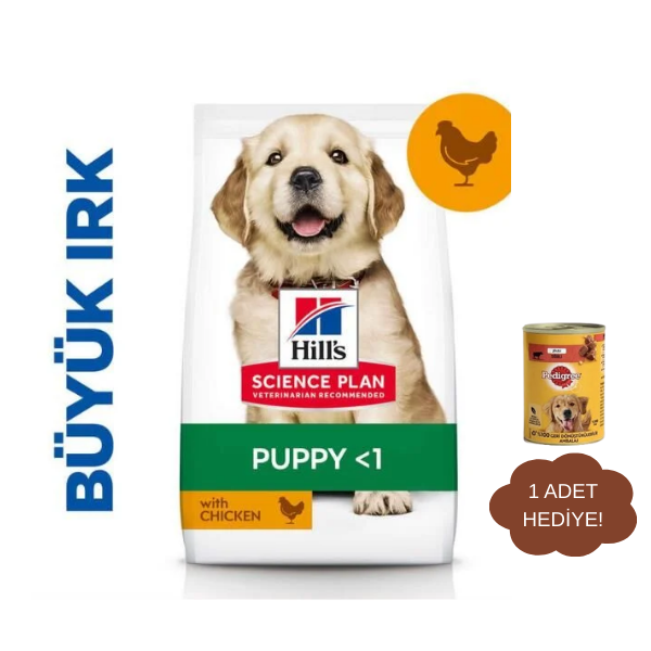 Hills Large Breed Puppy Tavuklu Yavru Köpek Maması 2,5Kg