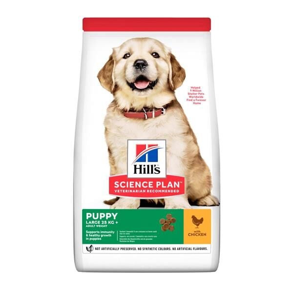 Hills Large Breed Puppy Tavuklu Yavru Köpek Maması 2,5Kg