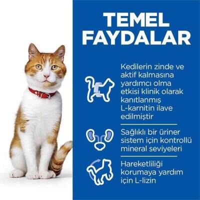 Hill's SCIENCE PLAN Kısırlaştırılmış Yetişkin Somonlu Kedi Maması 13 kg + 2 kg