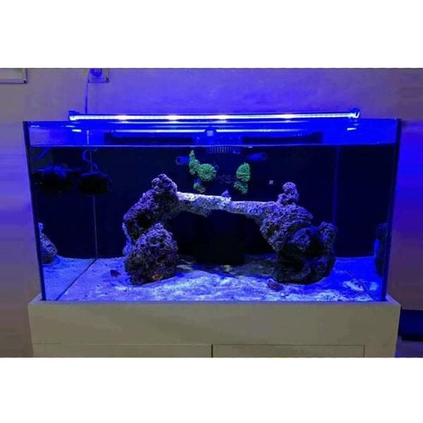 OrionLed Akvaryum Led Aydınlatma Mavi 70Cm