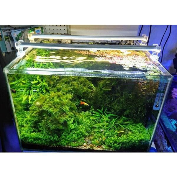 OrionLed Akvaryum Led Aydınlatma Beyaz 30Cm 6500K