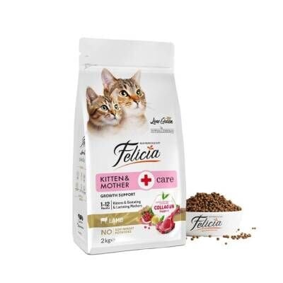 Felicia Kuzu Etli Düşük Tahıllı Yavru ve Hamile Kedi Maması 2 kg