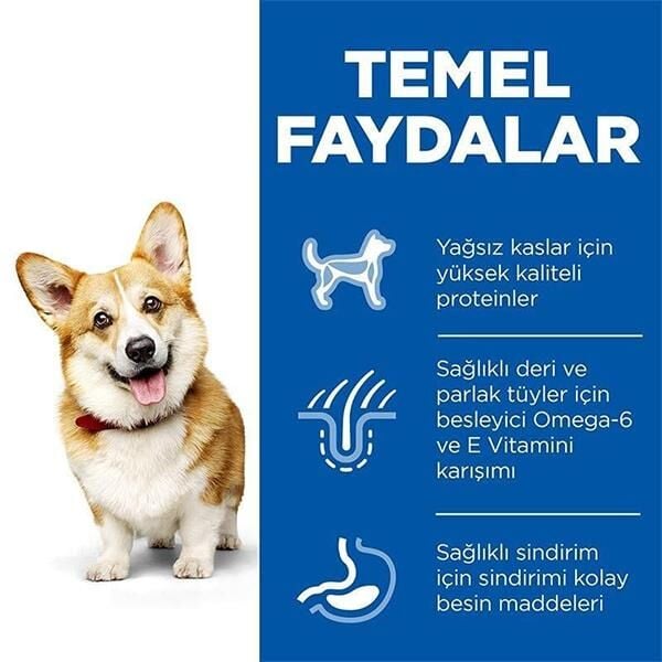 Hills Small Mini Küçük Irk Tavuklu Yetişkin Köpek Maması 1,5Kg