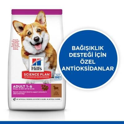Hill's SCIENCE PLAN Yetişkin Küçük ve Mini Irk Kuzulu ve Pirinçli Köpek Maması 1,5 kg