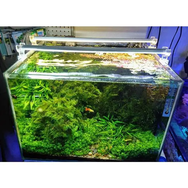OrionLed Akvaryum Led Aydınlatma Beyaz 40Cm 6500K
