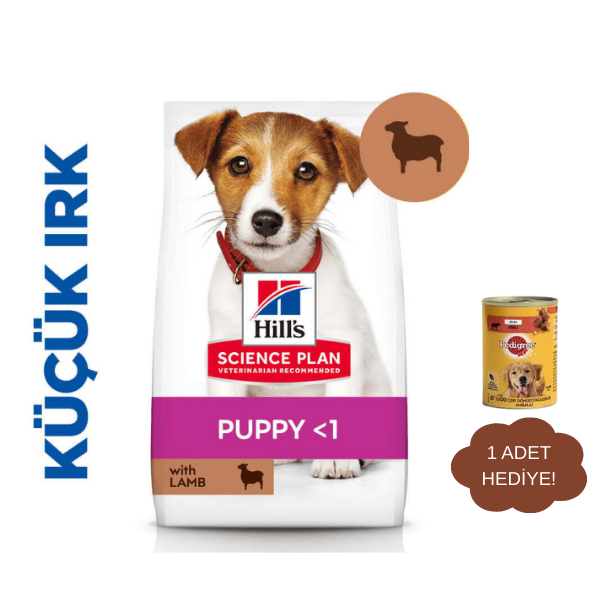 Hills Small Mini Puppy Kuzu Etli ve Pirinçli Yavru Köpek Maması 1,5Kg