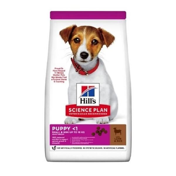 Hills Small Mini Puppy Kuzu Etli ve Pirinçli Yavru Köpek Maması 6Kg