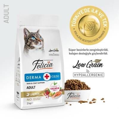 Felicia Somon Balıklı Düşük Tahıllı Hipoalerjenik Kedi Maması 2 kg