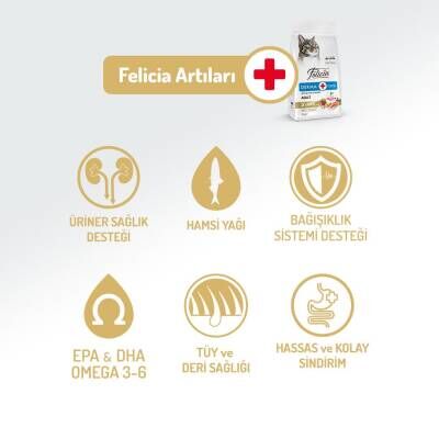 Felicia Somon Balıklı Düşük Tahıllı Hipoalerjenik Kedi Maması 2 kg