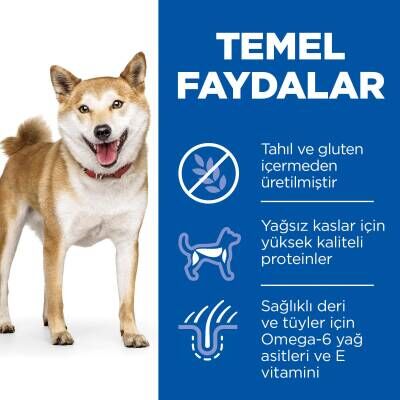 Hill's SCIENCE PLAN Ton Balıklı Tahılsız Yetişkin Kuru Köpek Maması 12 kg