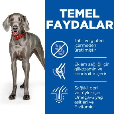 Hill's SCIENCE PLAN Tahılsız Yetişkin Büyük Irk Tavuklu Köpek Maması 12 kg