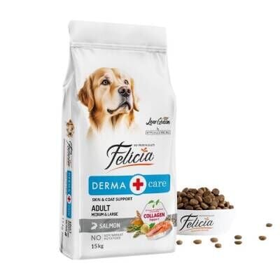 Felicia Somon Balıklı Düşük Tahıllı Hipoalerjenik Yetişkin Köpek Maması 15 kg