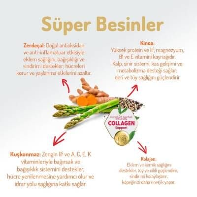 Felicia Somon Balıklı Düşük Tahıllı Hipoalerjenik Yetişkin Köpek Maması 15 kg