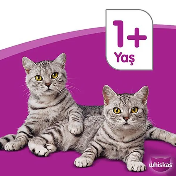 Whiskas Sos İçinde Sığır Etli Yetişkin Kedi Konservesi 400gr