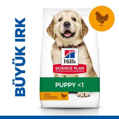 Hill's SCIENCE PLAN Büyük Irk Tavuklu Yavru Köpek Maması 14,5 kg
