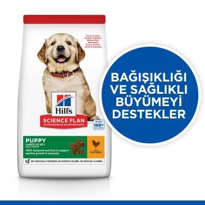 Hill's SCIENCE PLAN Büyük Irk Tavuklu Yavru Köpek Maması 14,5 kg