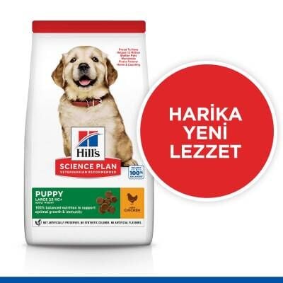 Hill's SCIENCE PLAN Büyük Irk Tavuklu Yavru Köpek Maması 14,5 kg