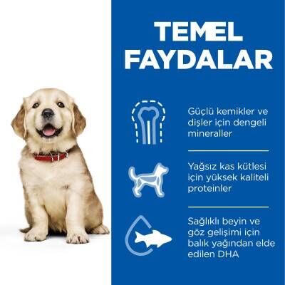 Hill's SCIENCE PLAN Büyük Irk Tavuklu Yavru Köpek Maması 14,5 kg