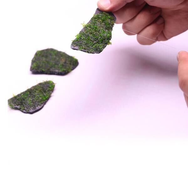 Creaqua Moss Rock