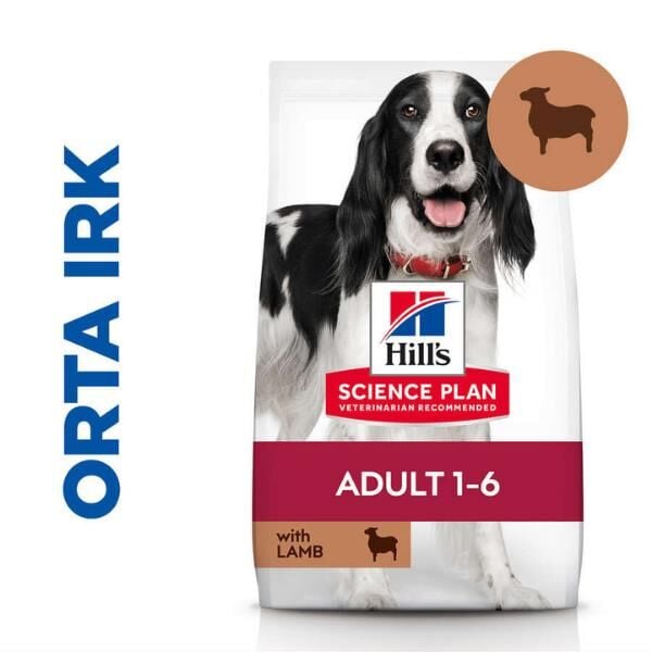 Hills Medium Adult Kuzu Etli Yetişkin Köpek Maması 2,5Kg