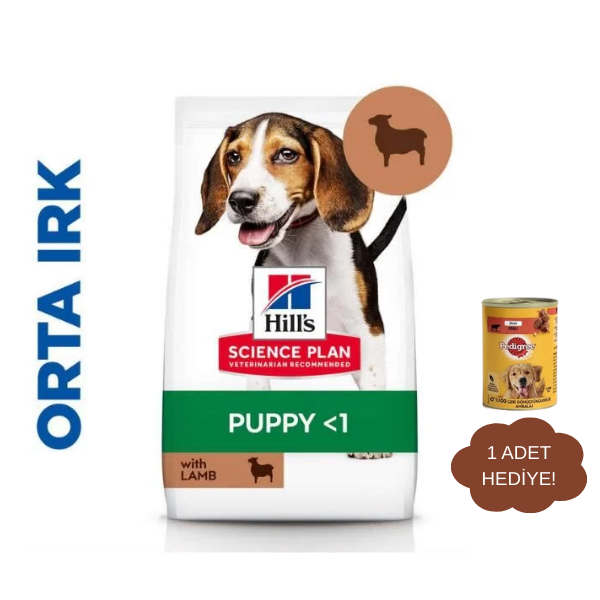Hills Medium Puppy Kuzu Etli Yavru Köpek Maması 2.5Kg