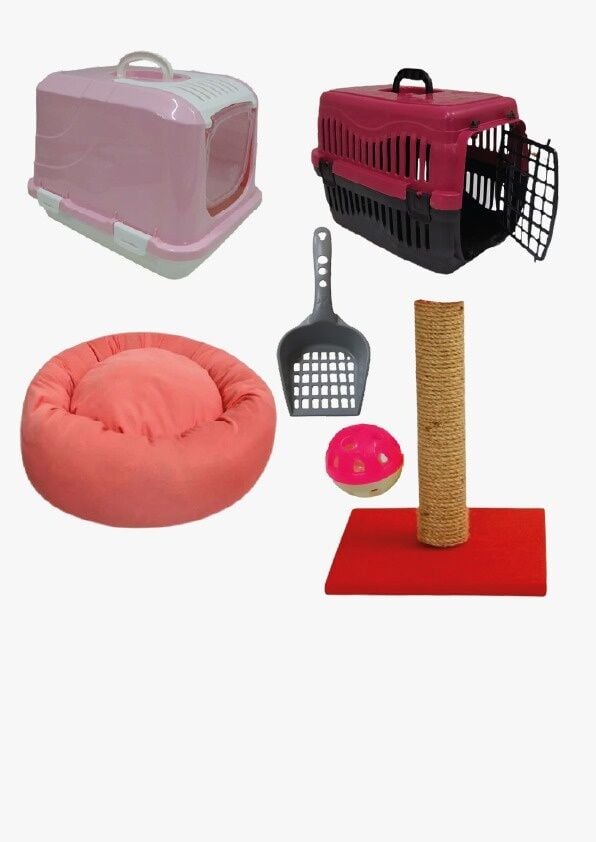 Bio Sand Petzen Kedi Başlangıç Seti 6'lı Pembe