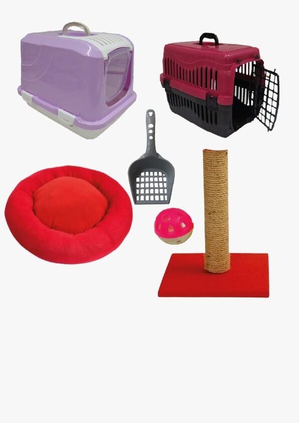 Bio Sand Petzen Kedi Başlangıç Seti 6'lı Mor