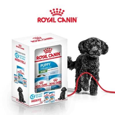 Royal Canin Mini Puppy Küçük Irk Yavru Köpek Maması 2 kg ( 2 Adet Royal Canin Pouch Hediyeli)