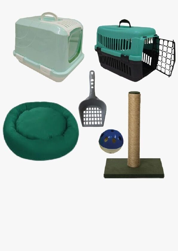 Bio Sand Petzen Kedi Başlangıç Seti 6'lı Yeşil