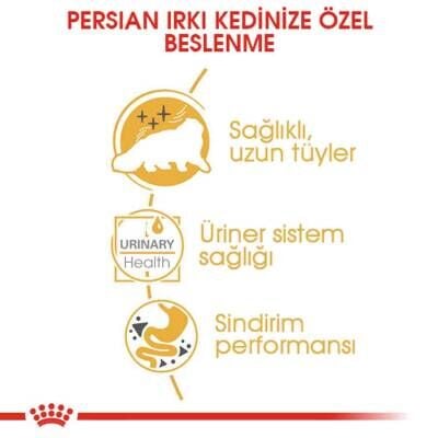 Royal Canin Persian Yetişkin Kedi Konservesi 85 gr X 12 Adet