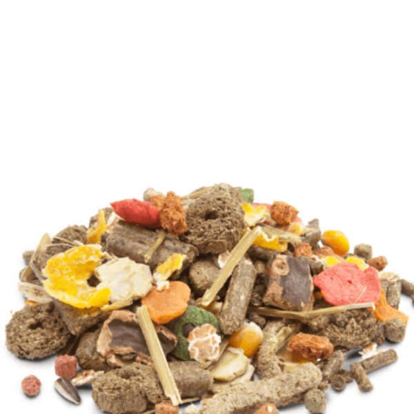 Versele Laga Crispy Muesli Rabbits - Tavşan Yemi 1Kg