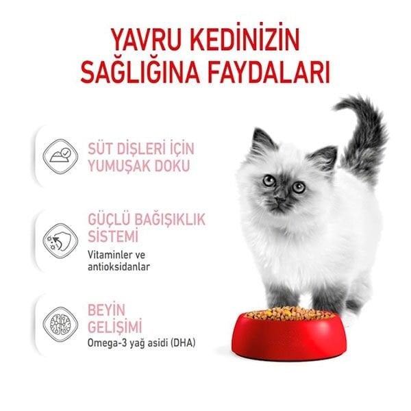 Royal Canin Jelly Kitten Instinctive Yavru Yaş Kedi Maması 85gr
