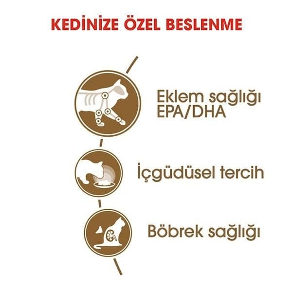 Royal Canin Ageing Yaşlı 12+ Yaş Kedi Maması 85gr