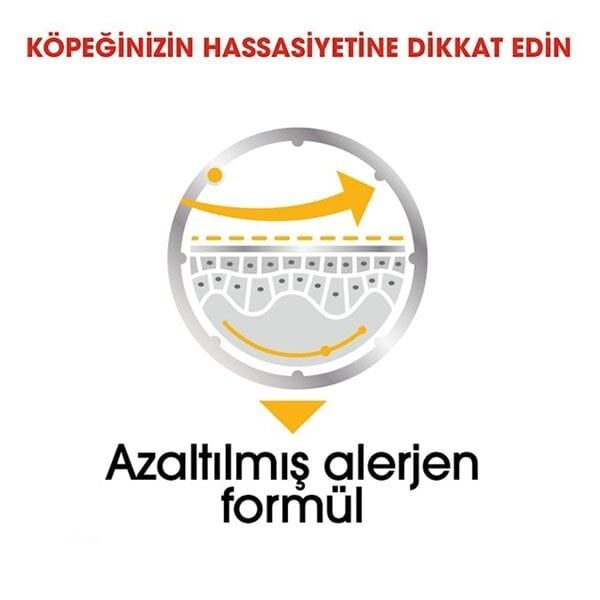 Royal Canin Dermacomfort Yetişkin Köpek Konservesi 85gr