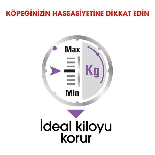 Royal Canin All Sizes Sterilised Pouch Kısır Köpek Maması 85gr