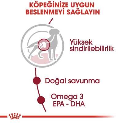 Royal Canin Medium Adult Orta Irk Yetişkin Köpekler İçin Parça Etli Yaş Mama 140 gr