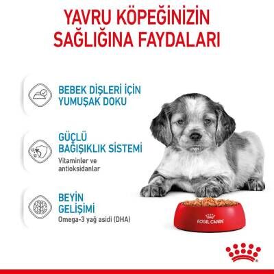 Royal Canin Medium Puppy Orta Irk Yavru Köpekler İçin Parça Etli Konserve Mama 140 gr