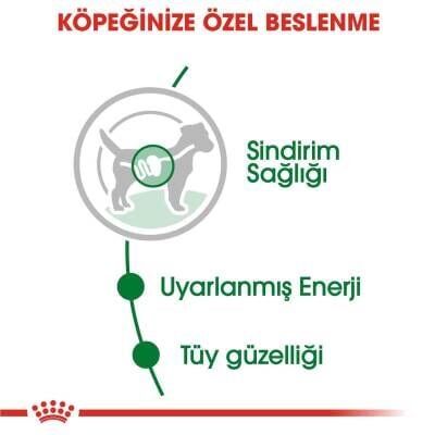Royal Canin Mini Adult Küçük Irk Yetişkin Köpek Konservesi 85 gr