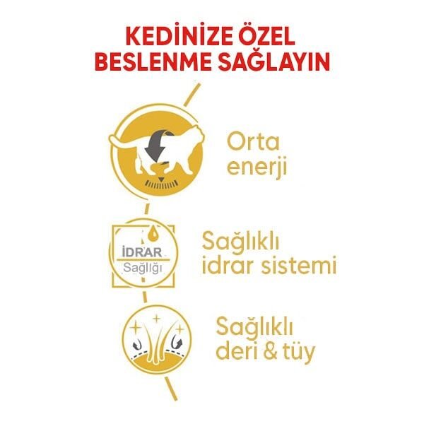 Royal Canin British Shorthair Adult Yetişkin Yaş Kedi Maması 85gr