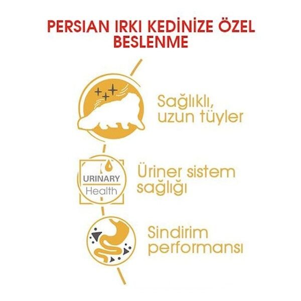Royal Canin Persian Adult Yetişkin İran Kedilerine Özel Yaş Kedi Maması 85gr