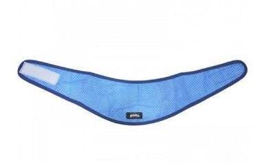 Pawise Soğutucu Köpek Bandanası XL 53-62 Cm